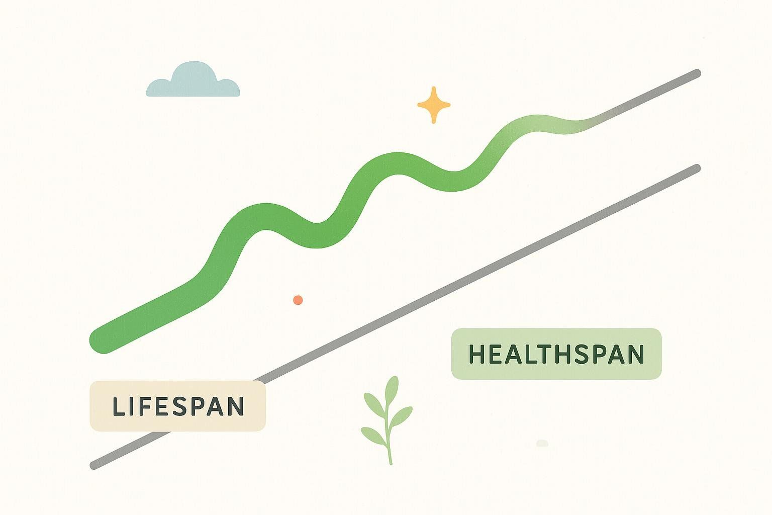 Illustration comparing a long, plain 'Lifespan' path with a shorter but vibrant 'Healthspan' path, symbolizing years lived in good health.