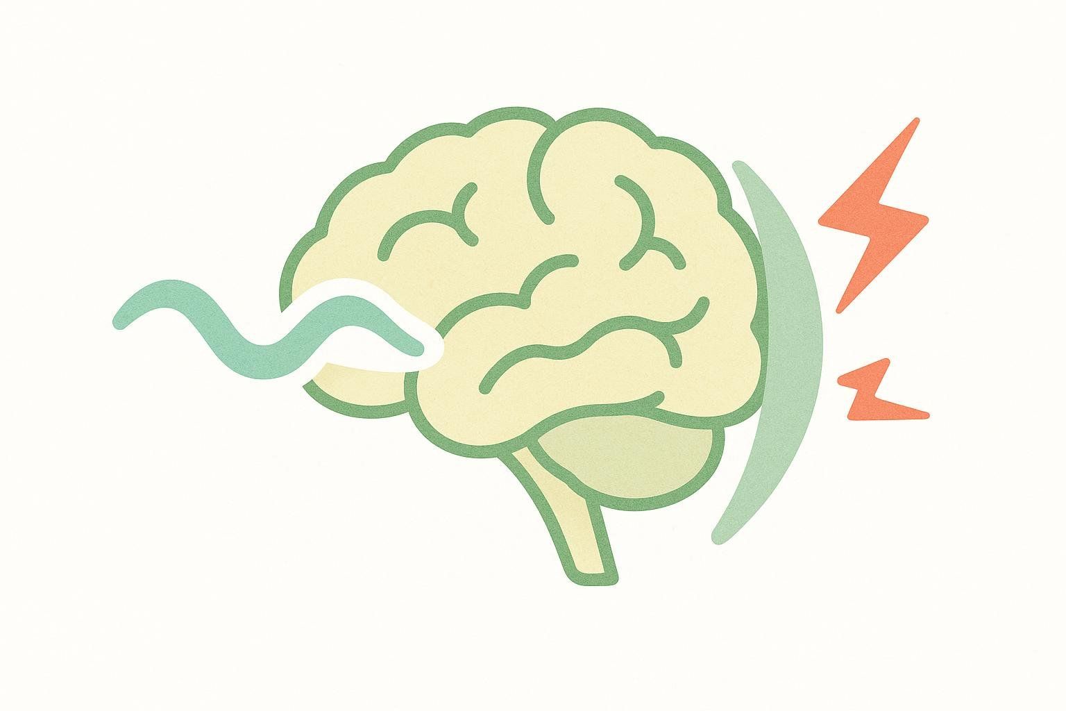 An illustration of a human brain with a wavy green line entering on the left, representing calming signals, and orange lightning bolt shapes on the right, representing excitatory signals, being blocked by a green barrier.