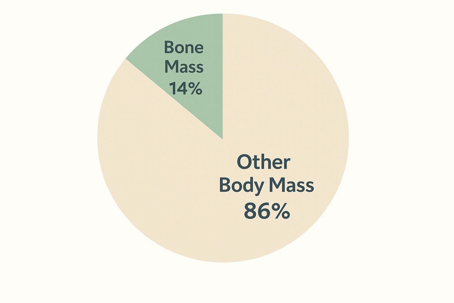 A pie chart showing that Bone Mass makes up 14% of total body mass and Other Body Mass makes up 86%.