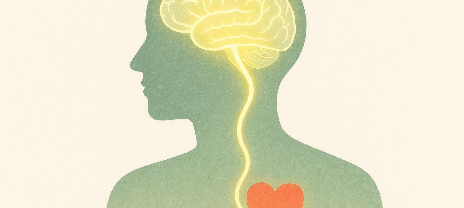 An illustration depicting the mind-body connection, showing a glowing yellow line extending from the brain to a red heart within the green silhouette of a human head and torso on a light background.