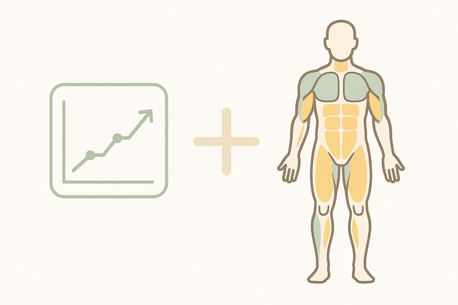 An abstract illustration featuring a line graph with an upward trend on the left, connected by a plus sign to a stylized human body diagram on the right. The body diagram highlights different areas in green and yellow, representing muscle and fat distribution.