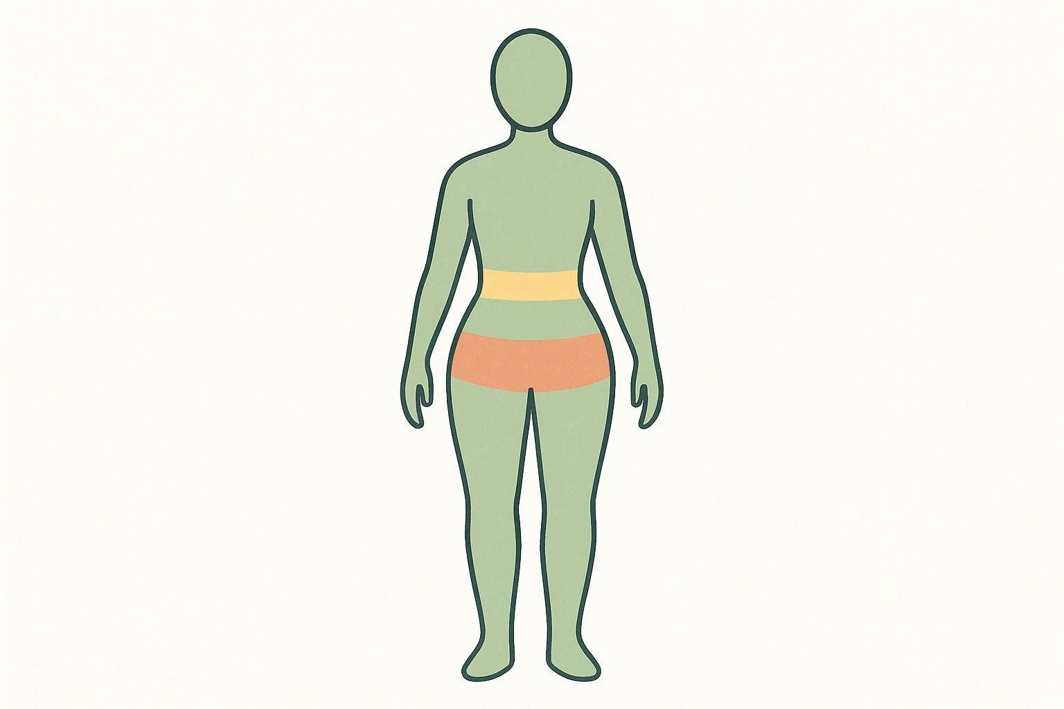 Stylized illustration highlighting waist and hip regions on a human silhouette, relevant to body measurements.