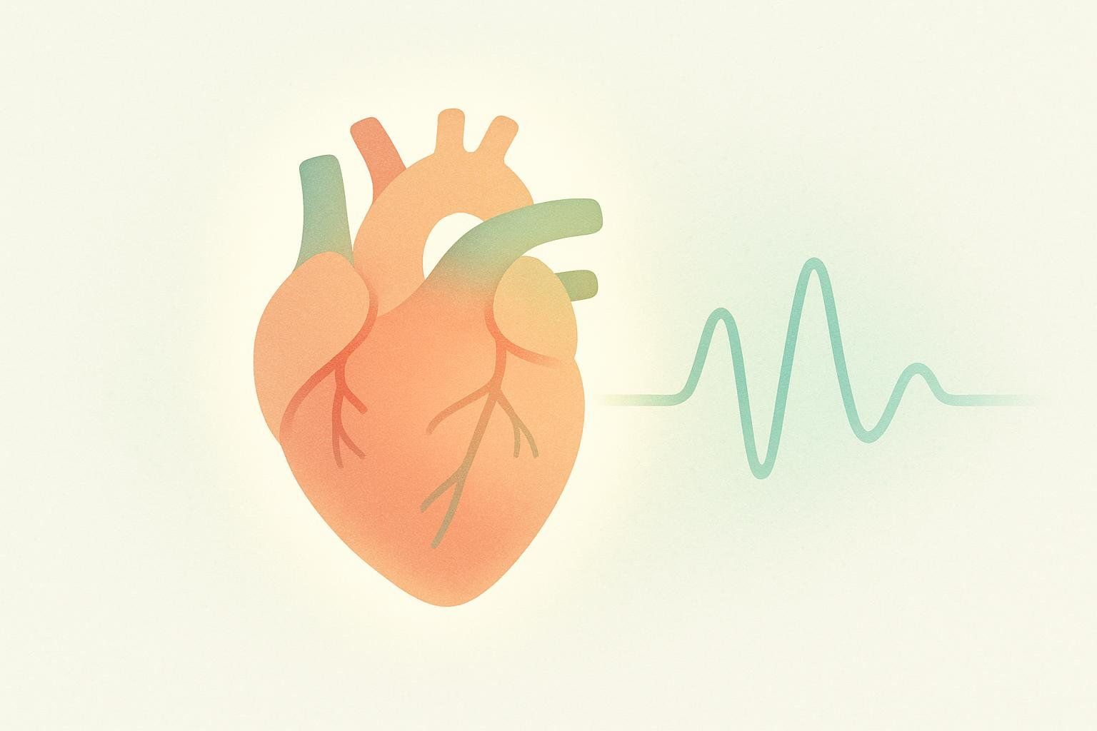An illustrated heart glows with health, symbolizing the cardiovascular benefits of exercise.