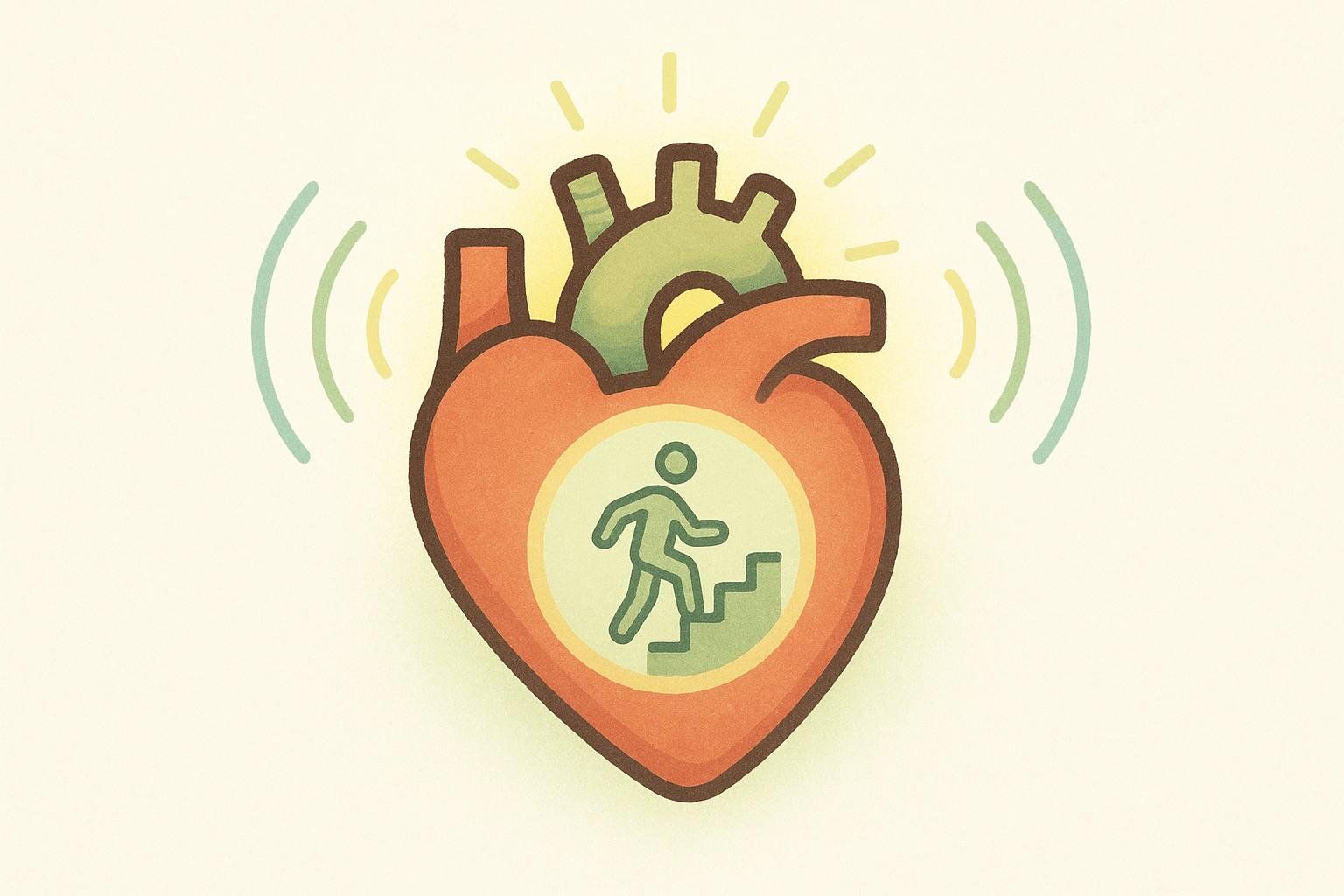 An illustration of a glowing heart with a person climbing stairs inside, symbolizing cardiovascular conditioning.