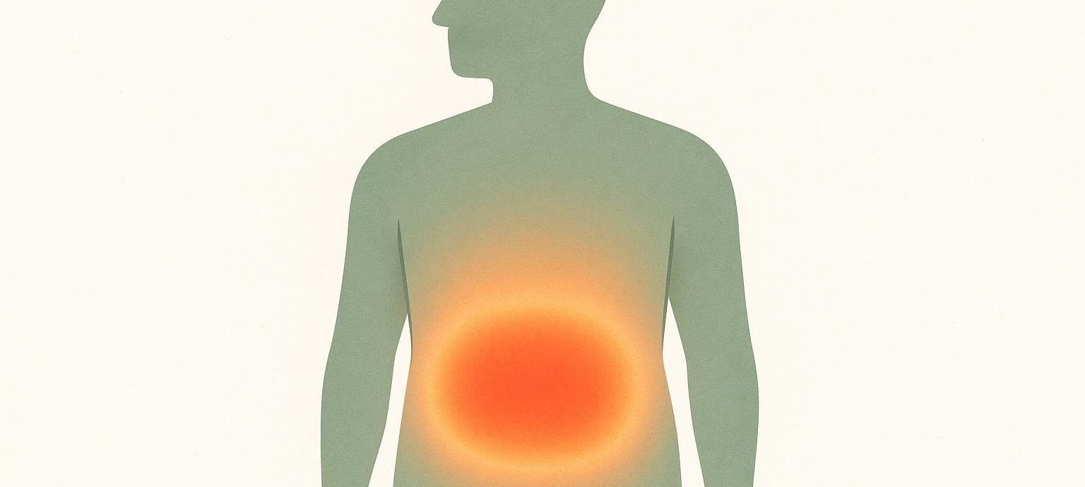Silhouette of a human torso with the abdominal area glowing orange and red, indicating visceral fat.