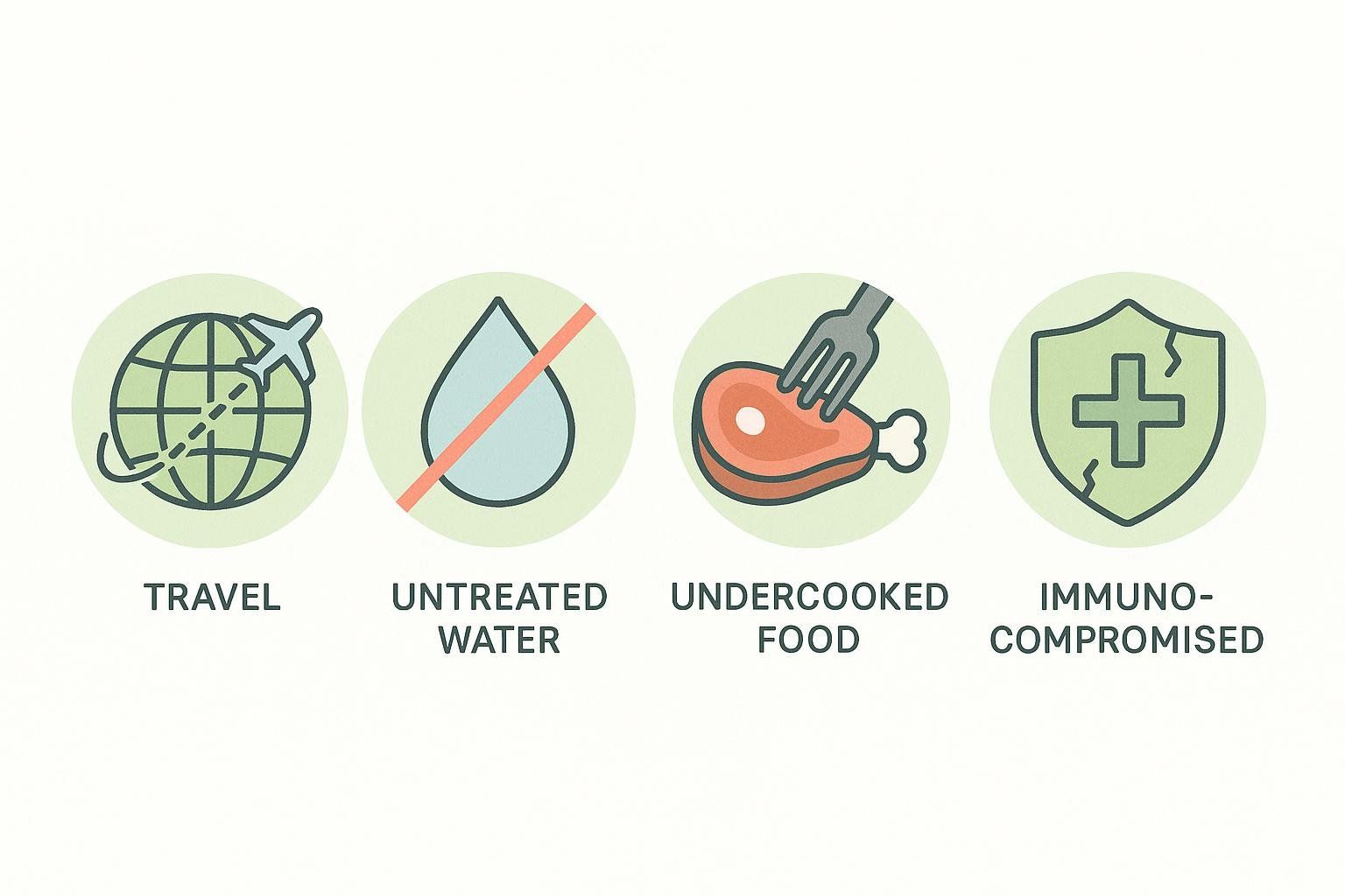 A series of simple icons representing risk factors for parasitic infections: travel, unsafe water, undercooked food, and being immunocompromised.