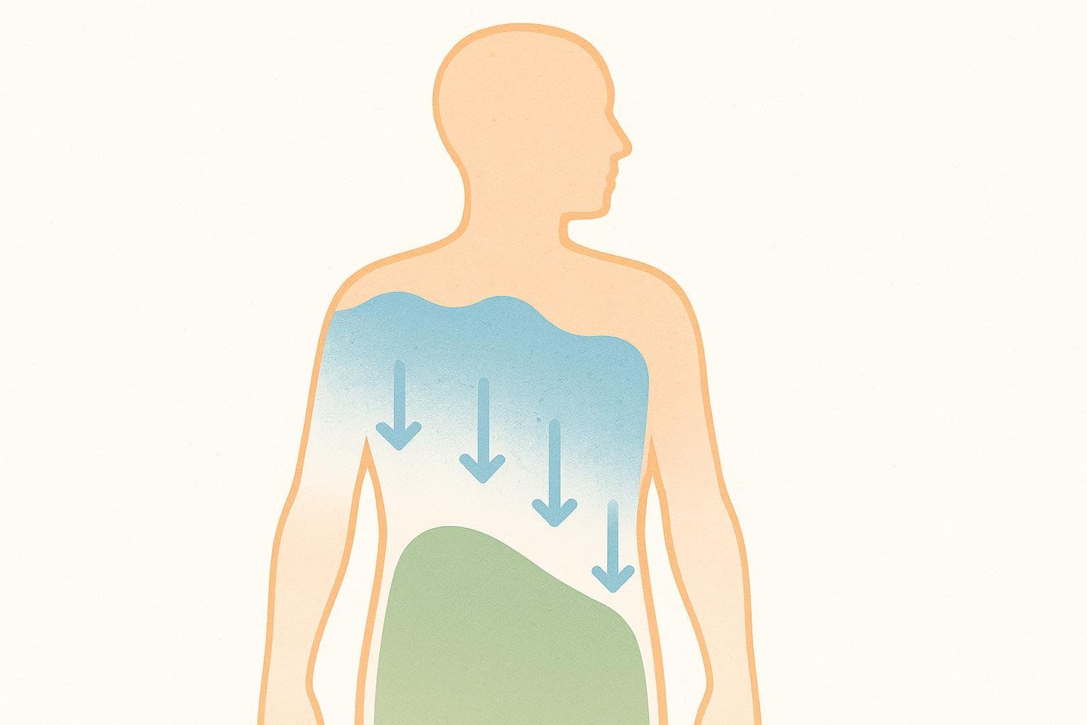 An illustration showing a human torso from the chest up. Blue waves represent water weight in the upper body, with downward arrows indicating it's leaving the system. Green shading below conceptualizes a small, stable amount of fat that remains untouched by internal processes. This visual effectively communicates that weight loss from cleanses is temporary and primarily due to water loss, not fat loss.