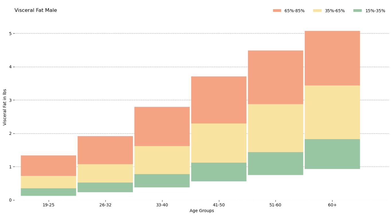 A bar chart titled 'Visceral Fat Male'. The horizontal axis is 'Age Groups' with categories 19-25, 26-32, 33-40, 41-50, 51-60, and 60+. The vertical axis is 'Visceral Fat in lbs'. Each bar is stacked with three colors representing percentage ranges: 65%-85% (orange), 35%-65% (yellow), and 15%-35% (green). The overall trend shows increasing visceral fat with age.