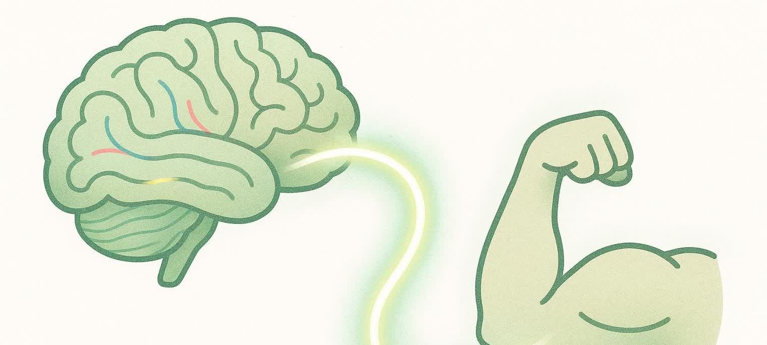 Illustration of a brain sending an efficient signal to a muscle, representing neural adaptation which reduces muscle soreness.