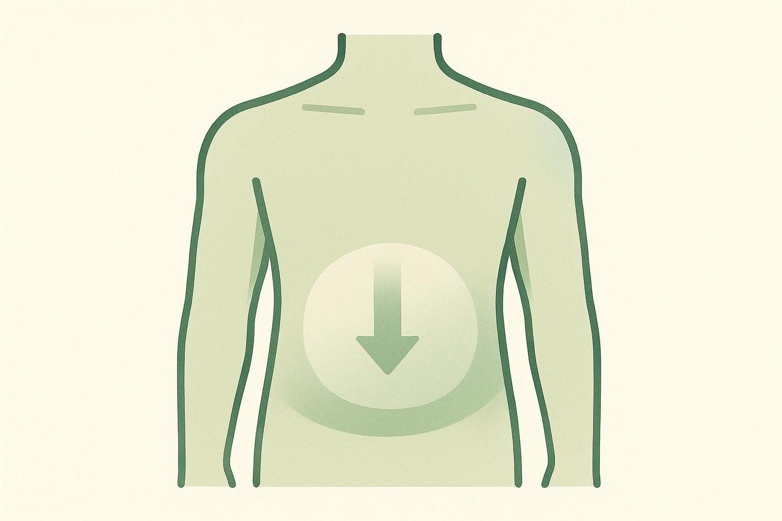 Abstract illustration showing conceptual reduction of visceral fat in the abdominal area.