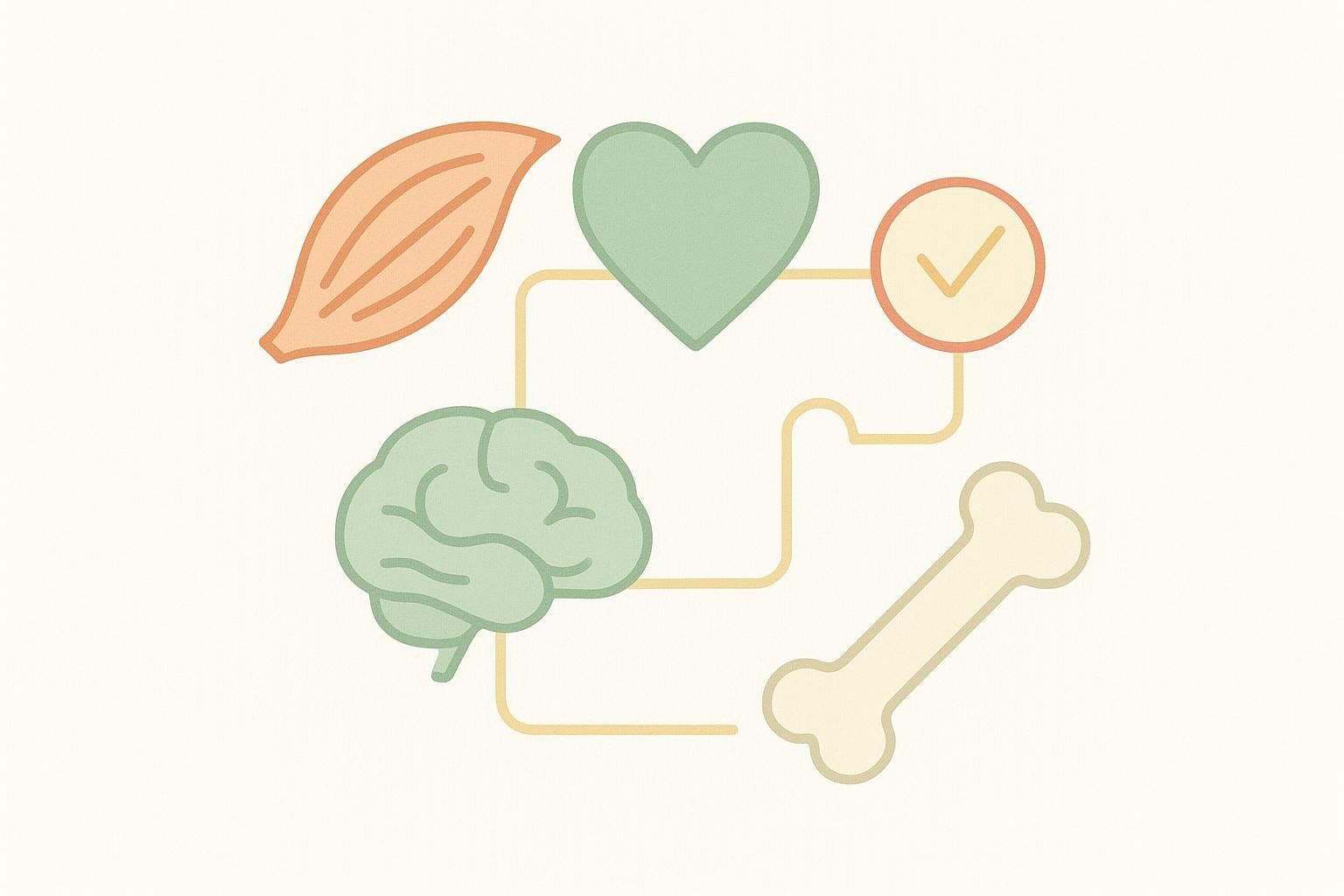 Abstract icons for muscle, heart, brain, and bone, representing key measurable aspects of healthspan.