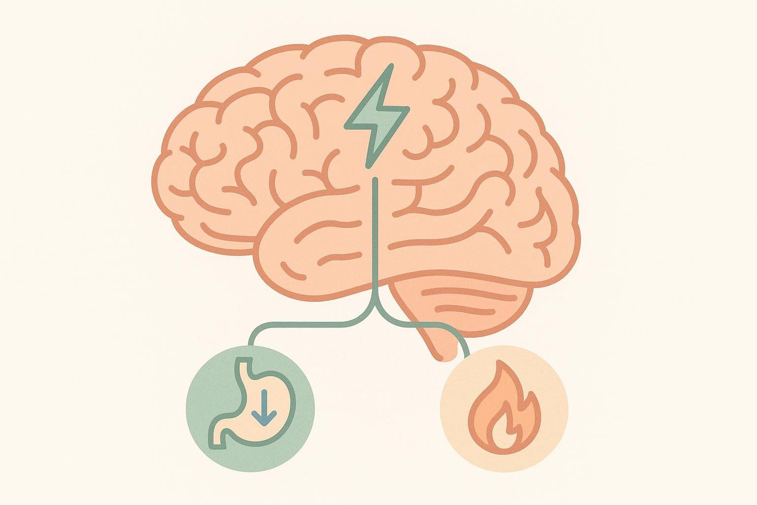 Infographic showing a brain with a lightning bolt symbol, connected by lines to a stomach with a down arrow (representing reduced appetite) and a flame icon (representing increased metabolism). This visualizes how nicotine impacts these functions.