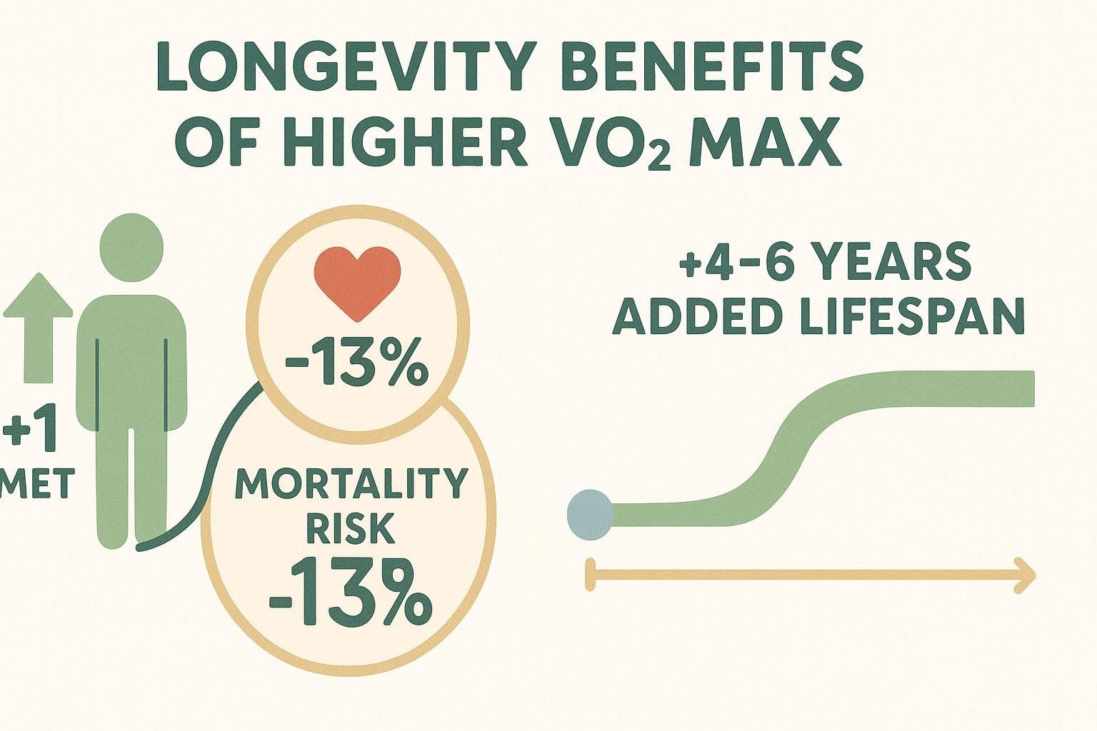 Infographic showing that increasing VO2 max by 1 MET reduces mortality risk by 13% and adds 4-6 years to lifespan.