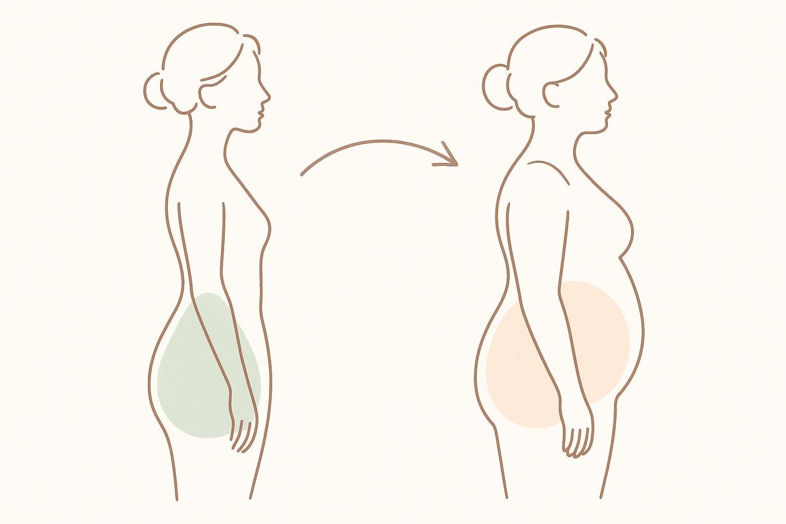 An illustration showing the common female body shape change during menopause. On the left, a slim figure with a 'pear' shape (wider hips) is shown. An arrow points to the right, where a more rounded figure with an 'apple' shape (wider waist and abdomen) is depicted, representing the change in fat distribution.