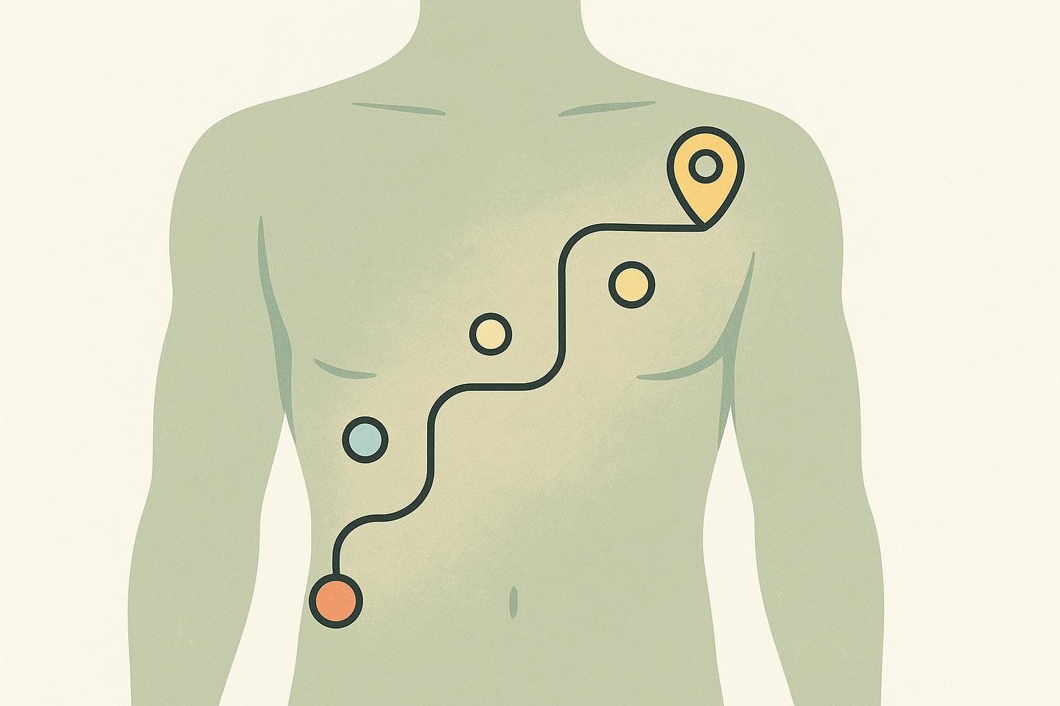 Illustration showing the torso of a human body with a winding path and various markers, including a start point, intermediate points, and a destination marker on the chest, representing a roadmap within the body.