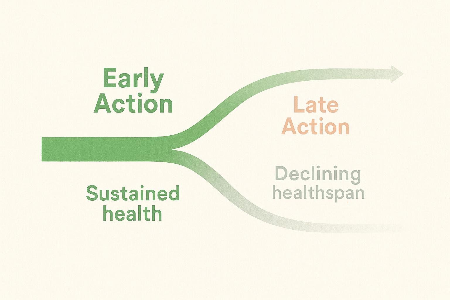 Illustration comparing two life paths: one line stays green (early healthy actions maintain vitality), while the other line fades to grey (late action leads to decline).