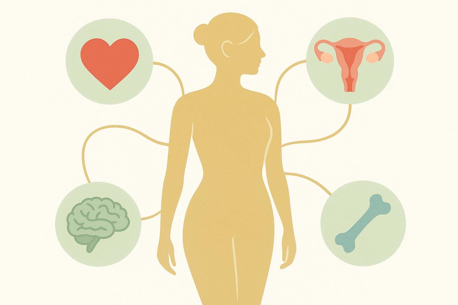 Illustration showing a female silhouette connected by lines to circular icons representing different aspects of health: a red heart for cardiovascular health, a uterus for reproductive health, a brain for mental health, and a bone for bone health.