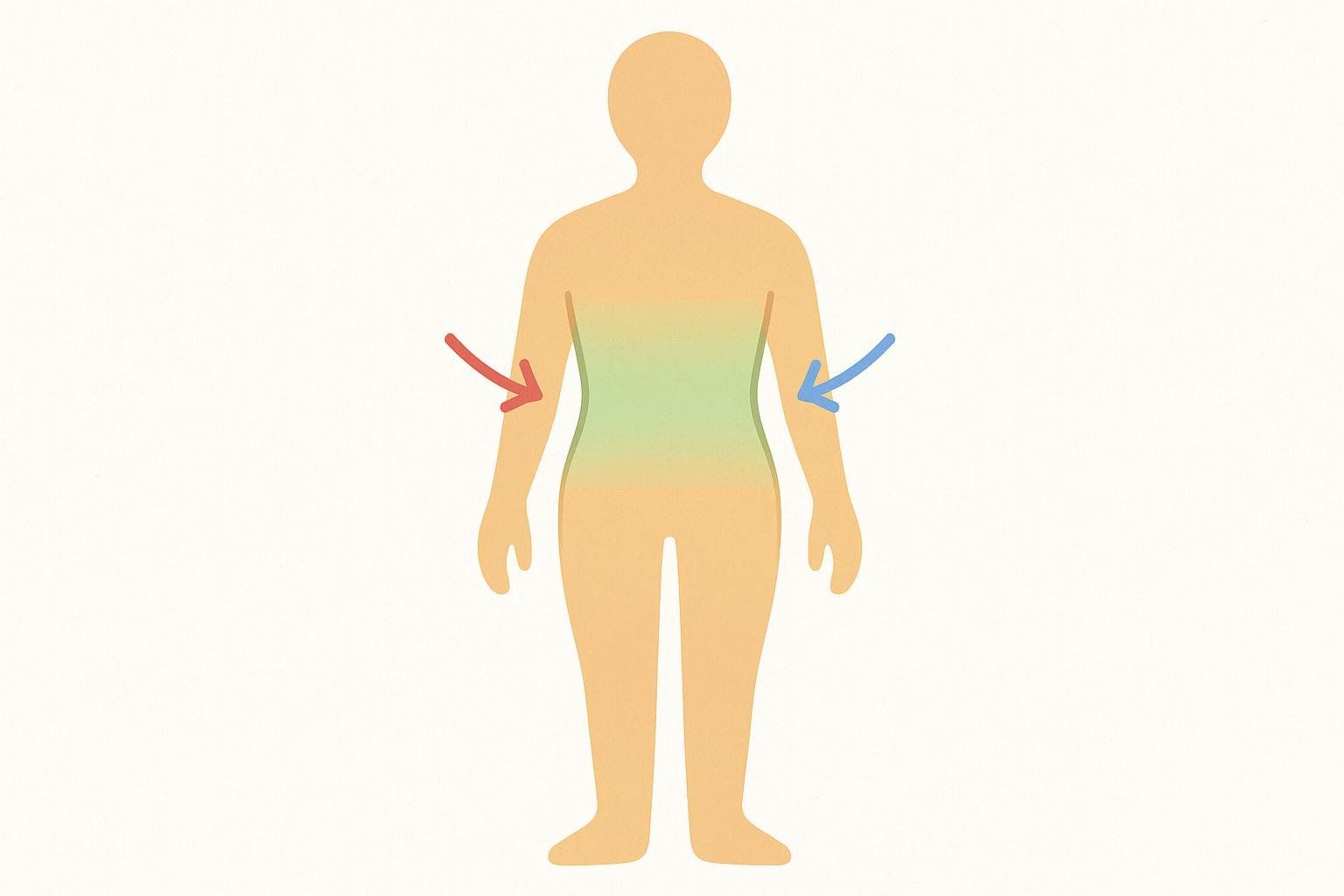 An abstract human silhouette shows the midsection highlighted in green and yellow, indicating areas where fat reduction may be subtle. Red and blue arrows point towards the torso from the arms, emphasizing this midsection area.