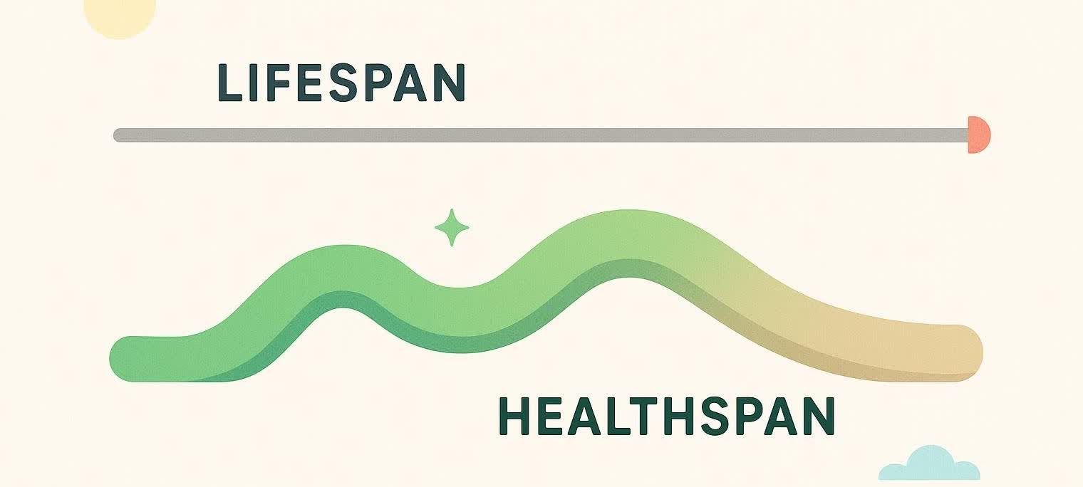 Illustration comparing a long, plain 'Lifespan' path with a shorter but vibrant 'Healthspan' path, symbolizing years lived in good health.