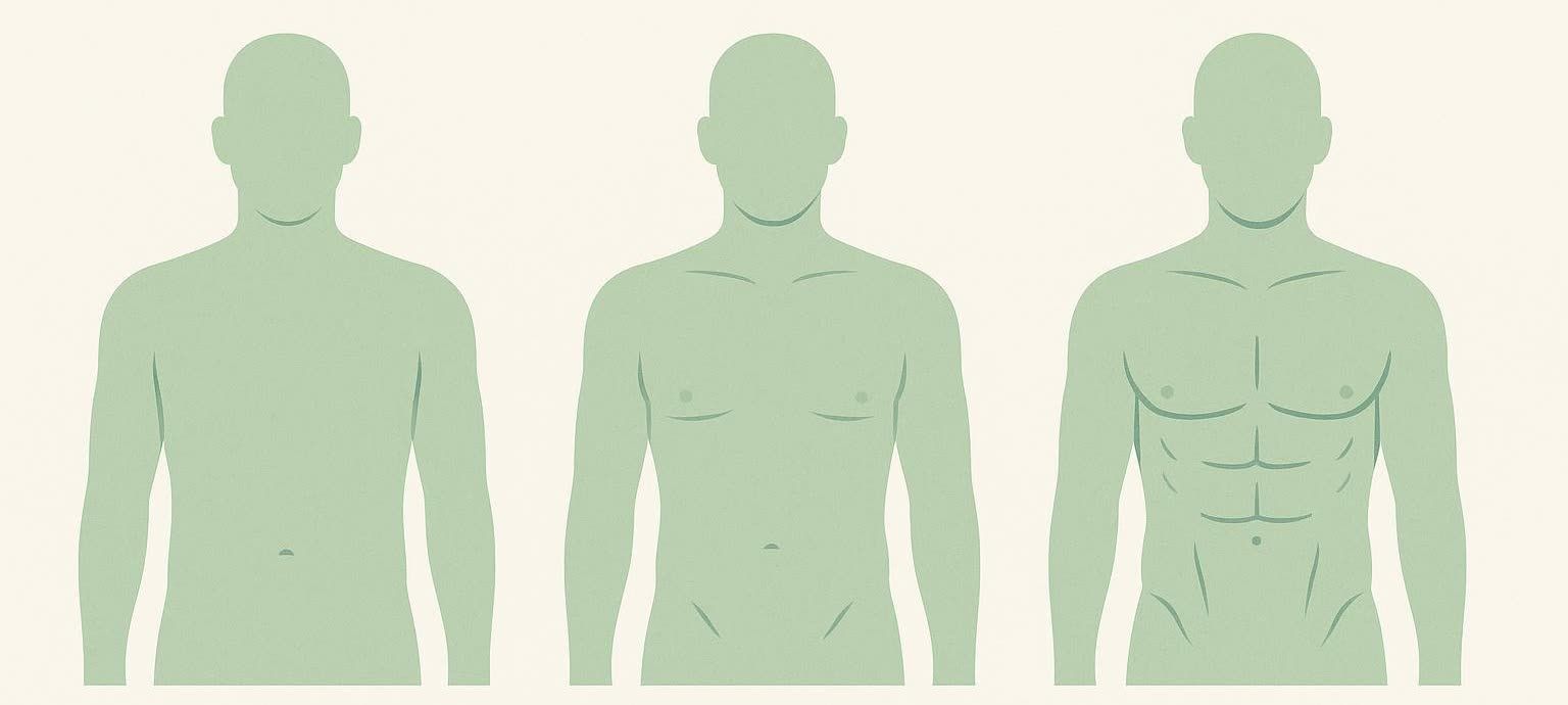 An infographic showing three male silhouettes, illustrating the visual difference between 15% body fat (left, less defined), 12% body fat (middle, some definition), and 10% body fat (right, most defined abdominal muscles).