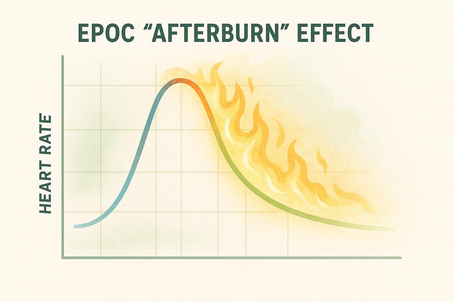 A graph illustrating the EPOC (Excess Post-exercise Oxygen Consumption) or 'afterburn' effect. The graph shows heart rate on the Y-axis. A curved line representing heart rate during and after exercise rises to a peak, then gradually declines, with a flame-like effect surrounding the declining portion of the curve to visually represent continued calorie burn after a high-intensity workout.
