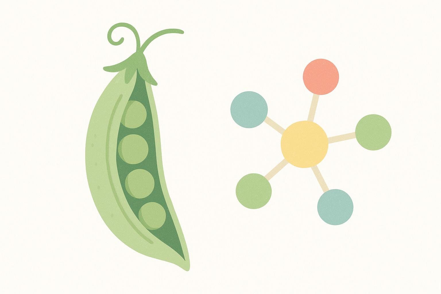 Illustration of a pea pod with peas inside and a molecular bond structure composed of multi-colored circles.