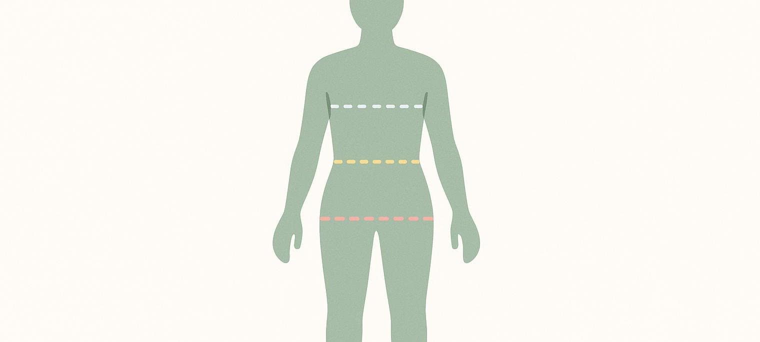 An illustration of a human silhouette in light green, with three dotted lines across the chest, waist, and hips, indicating where to take body measurements. The lines are white, yellow, and red from top to bottom.