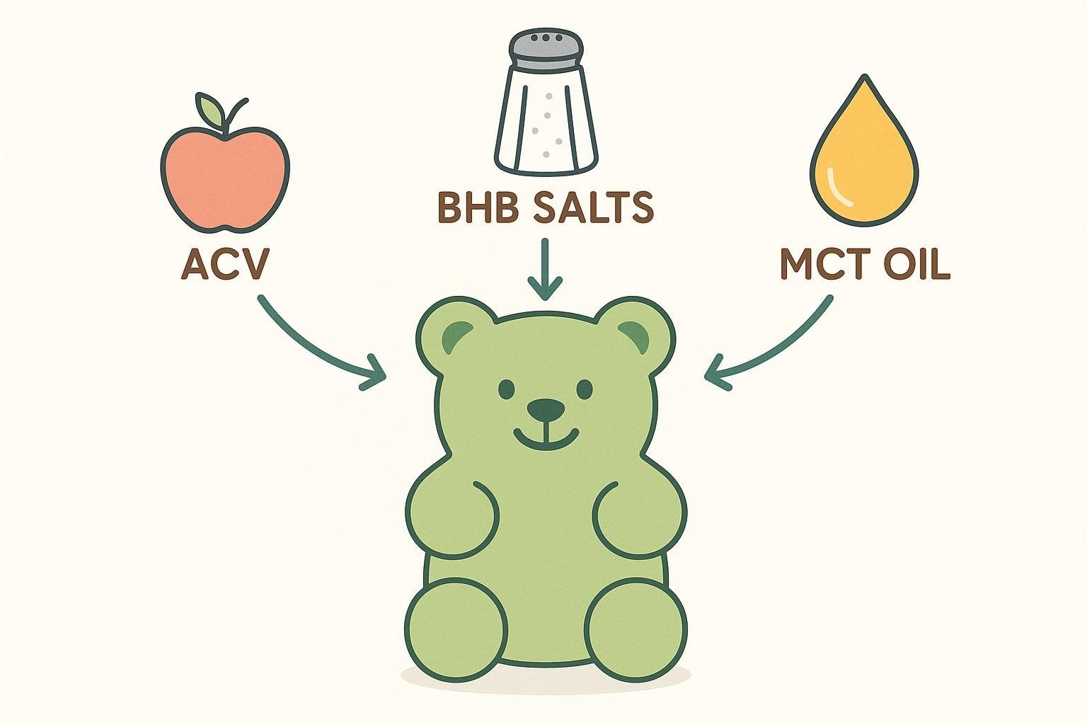 Infographic showing the main ingredients of a keto ACV gummy: ACV, BHB salts, and MCT oil.