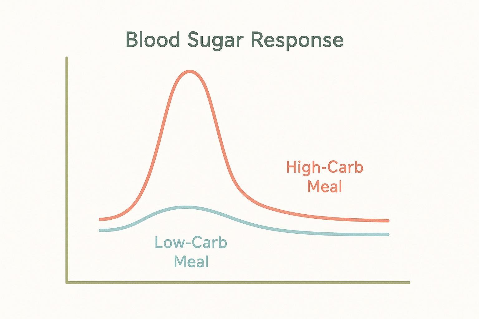 A simple line graph titled 'Blood Sugar Response' shows two lines representing the impact of different meals on blood sugar. The orange line, labeled 'High-Carb Meal', shows a sharp, tall spike and subsequent drop. The light blue line, labeled 'Low-Carb Meal', shows a much smaller and flatter curve, indicating a steadier blood sugar response.
