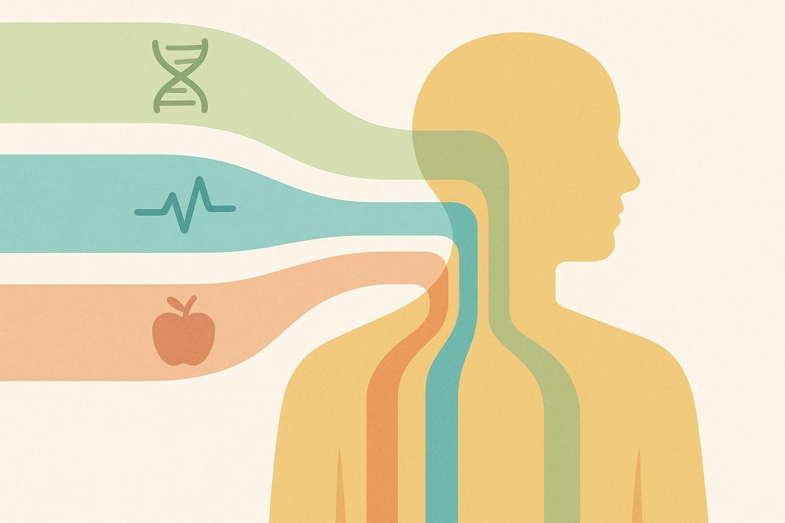An illustration showing data from genetics, wearables, and nutrition flowing into a human silhouette, representing data-driven personalization.