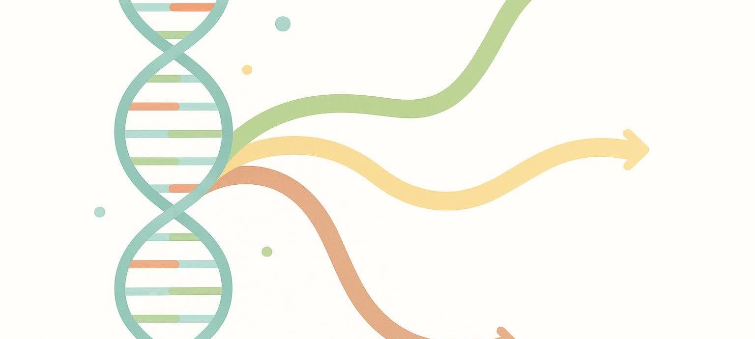 Stylized illustration of a DNA strand splitting into multiple paths, symbolizing how genetic information can guide different health choices.