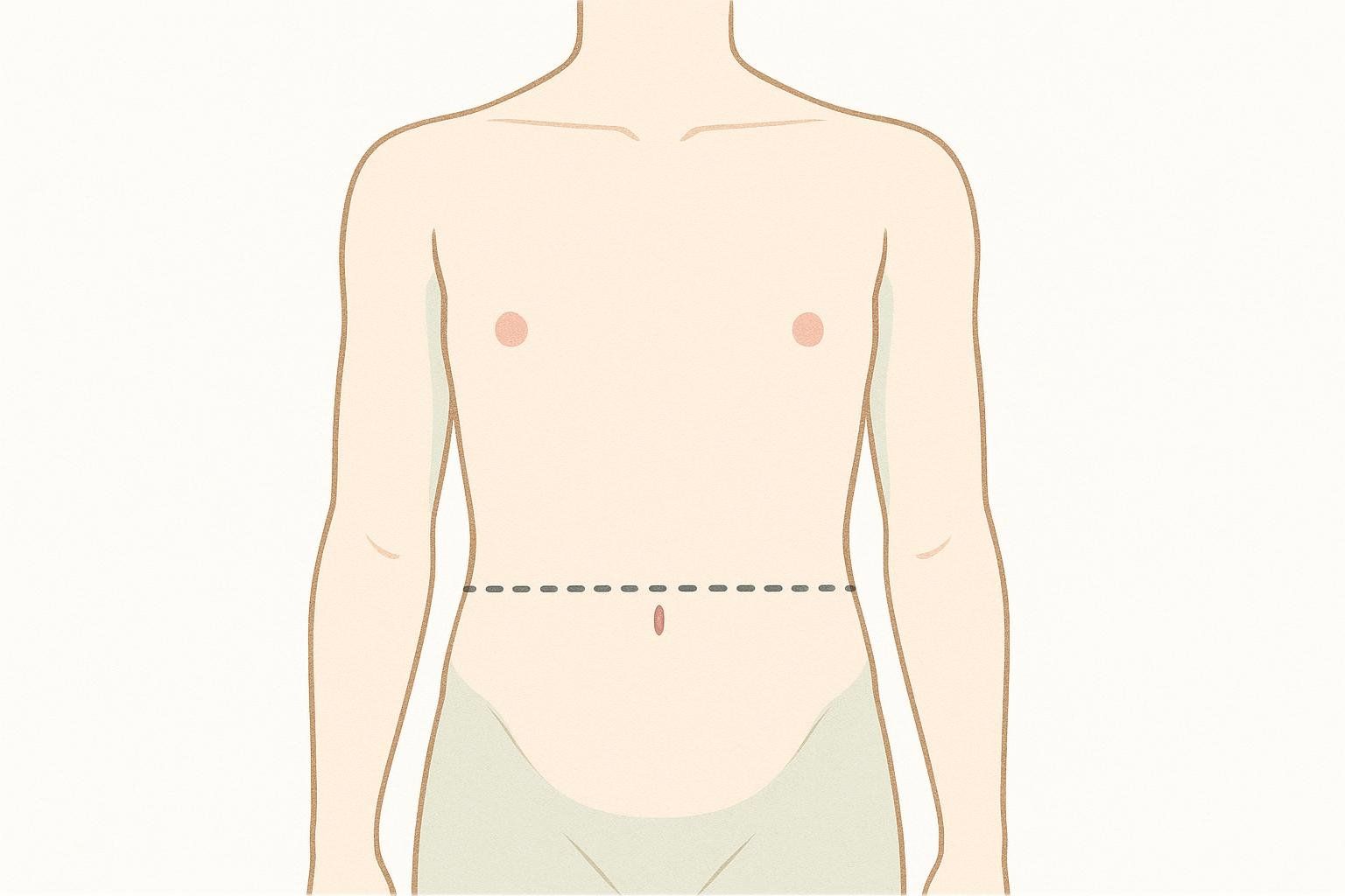 An illustration showing the correct place to measure the waist, at the midpoint between the bottom rib and hip bone. A dotted line is drawn horizontally across the bare torso at this measurement point, passing through the navel.