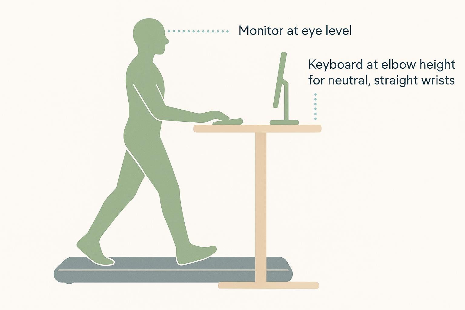 An ergonomic diagram demonstrating proper posture, monitor height, and keyboard position for comfortable and healthy use of a walking desk. The illustration shows a person walking on a treadmill desk with their monitor at eye level and keyboard at elbow height for neutral wrist positioning.