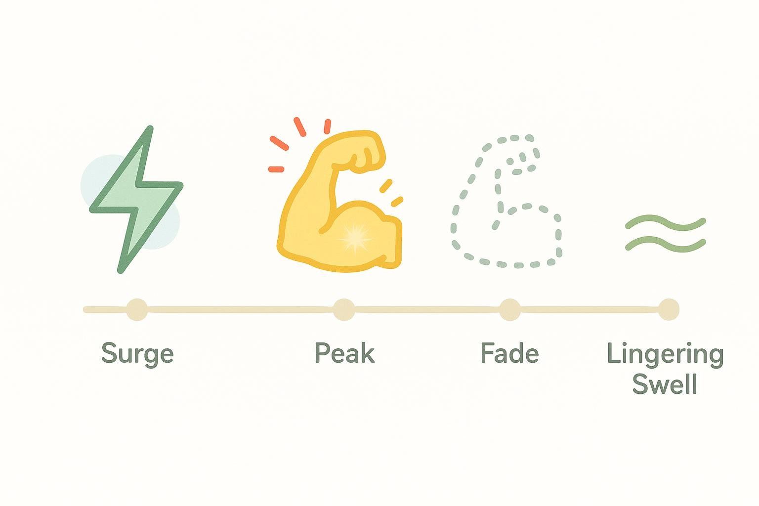 A timeline graphic with four icons shows the stages of a muscle pump: Surge, Peak, Fade, and Lingering Swell.