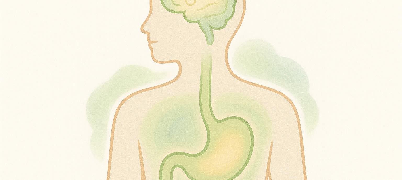 Abstract illustration of GLP-1 hormone pathways in the brain and digestive system, highlighting its benefits for gut health and overall well-being.