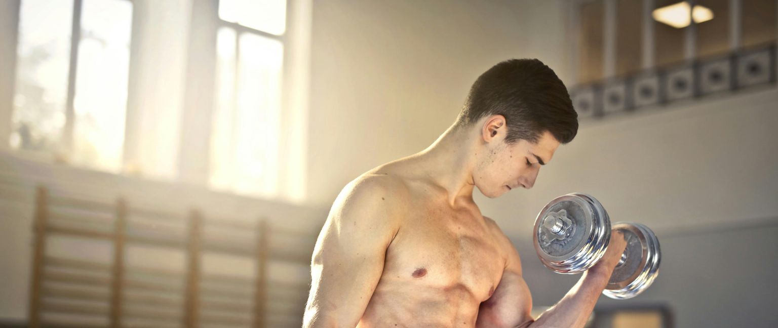 Lateral view of a man lifting a silver dumbbell in a sunlit room.