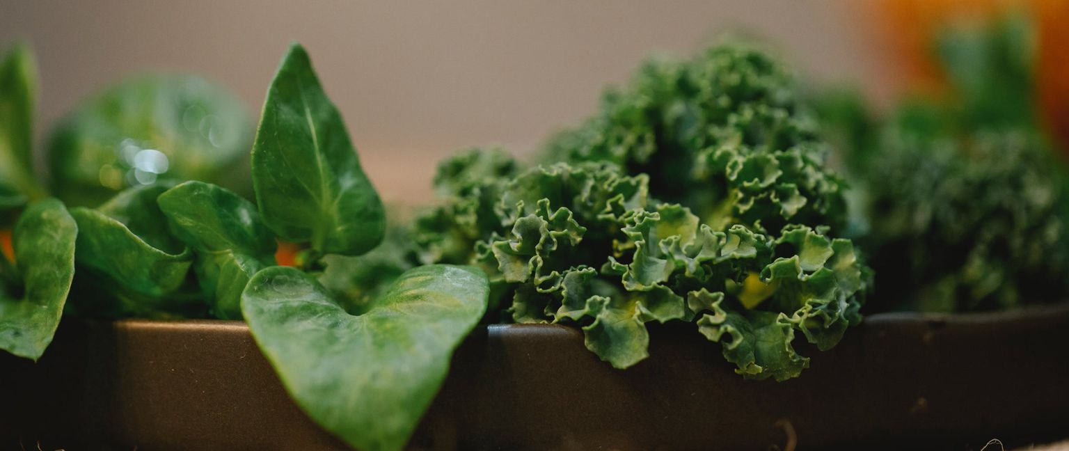 Close up of vibrant green kale and spinach leaves arranged in a dark bowl.