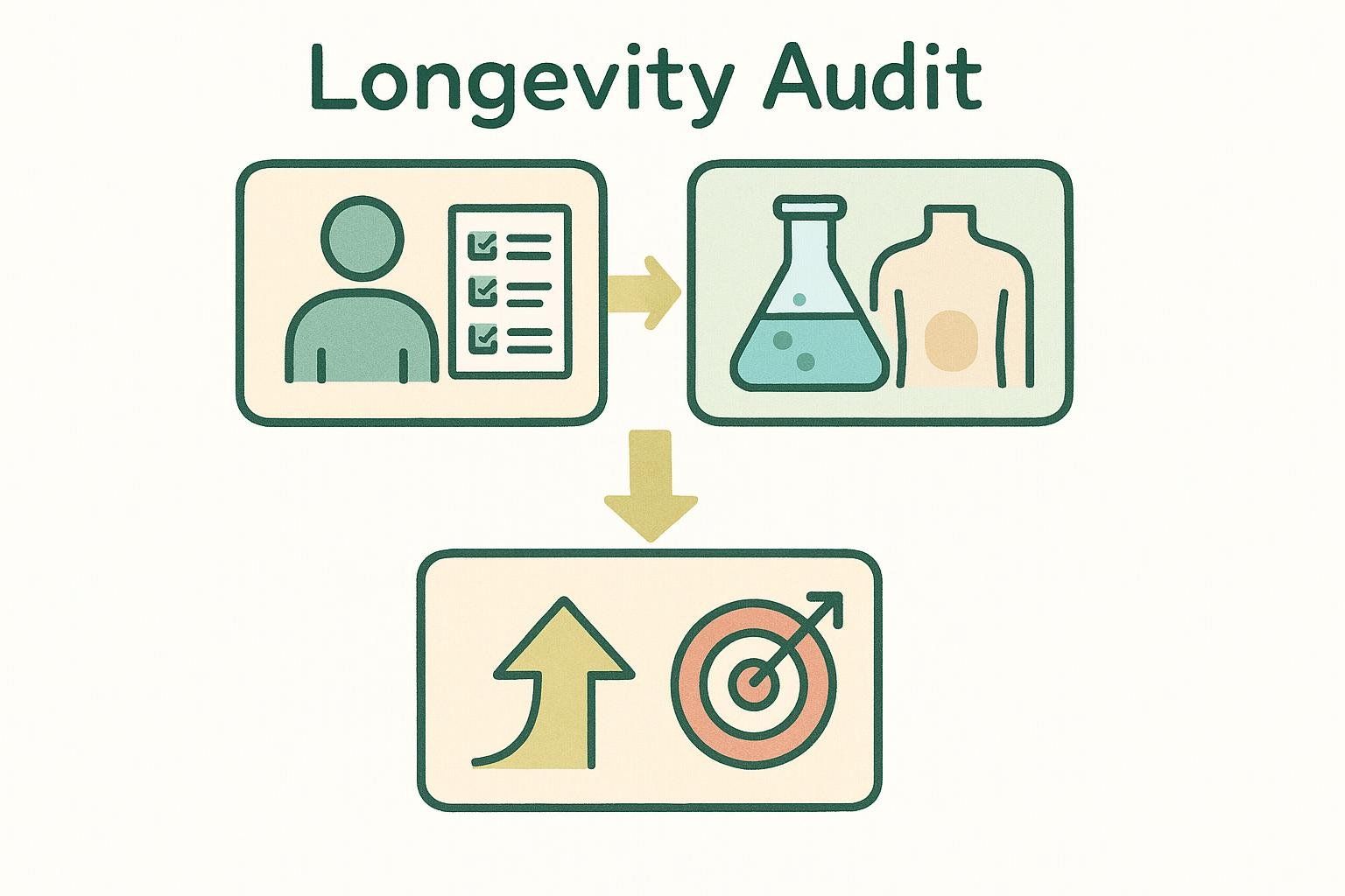 Illustration of a 3-step flowchart for a personal longevity audit: 1) Demographics (person icon and checklist), 2) Testing (beaker and torso outline), 3) Action Plan (upward arrow and target).