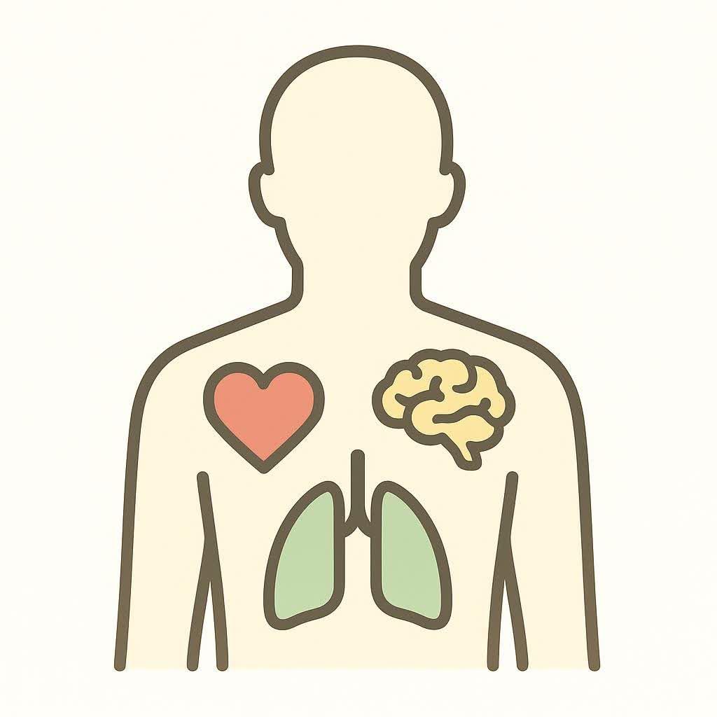 A simple icon showing a heart, lungs, and brain inside a human outline. The heart is red, the lungs are green, and the brain is yellow, representing the body's essential functions.