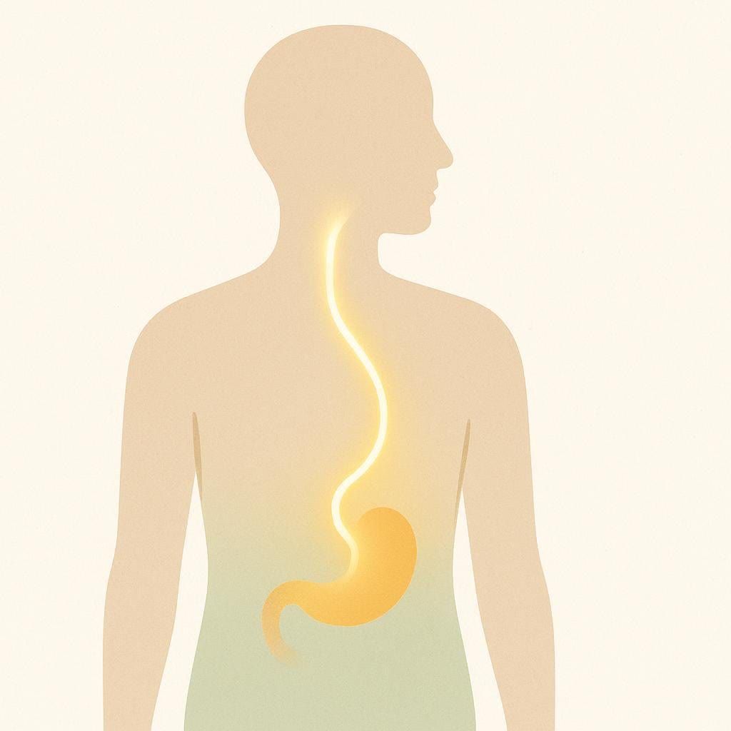 Abstract illustration of a person with a line connecting their head and stomach, symbolizing listening to the body's hunger cues.