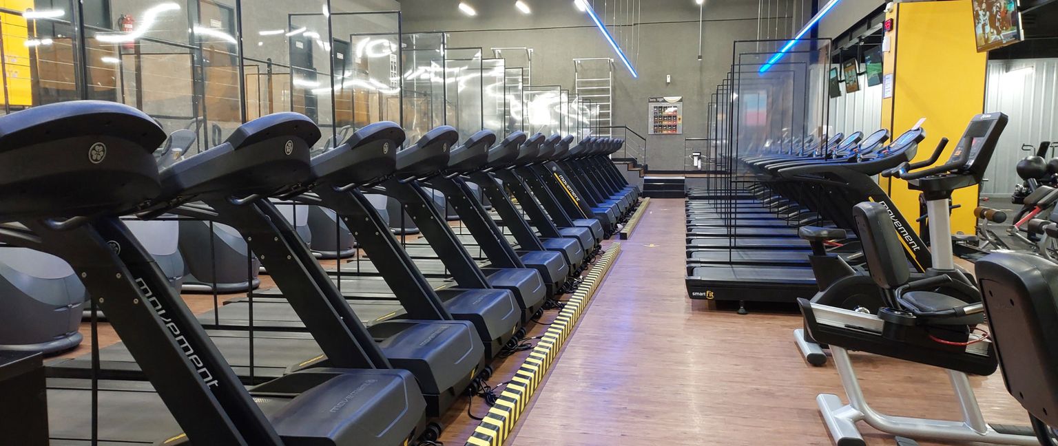 Rows of treadmills in a modern gym, separated by clear plastic dividers.
