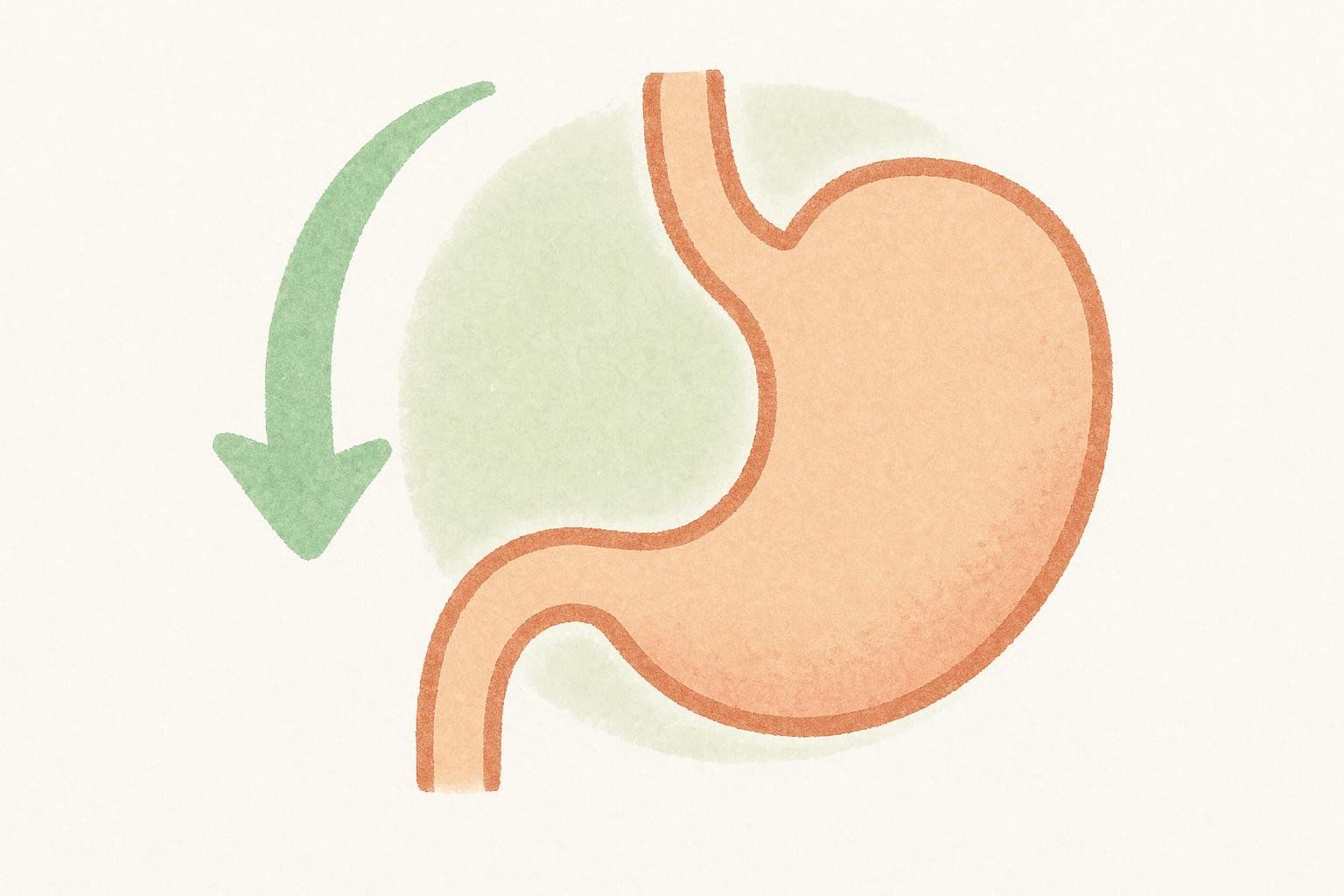 Stylized illustration of a stomach icon with a downward arrow, symbolizing reduced gastrointestinal side effects.