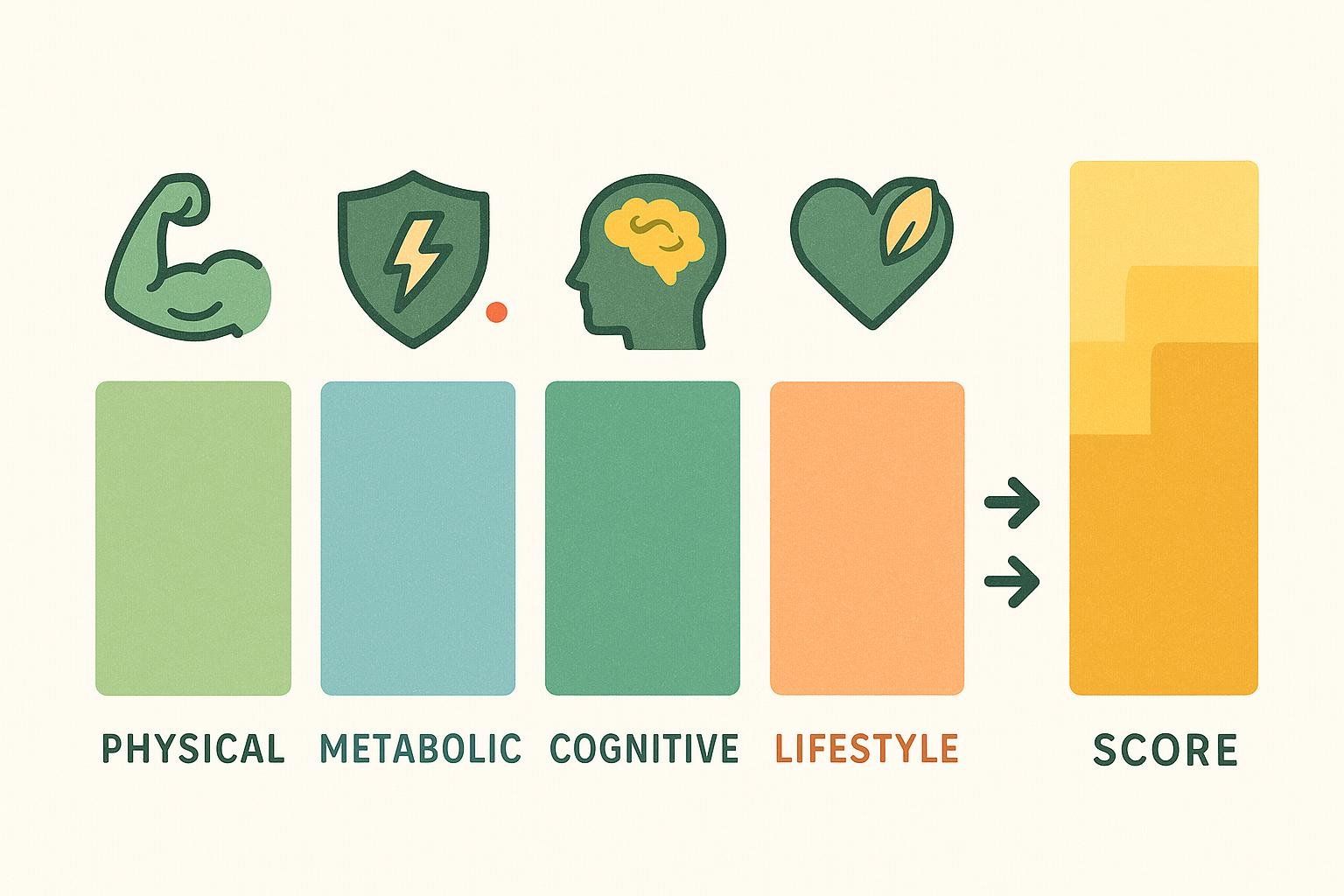 Illustration showing four colored blocks representing health dimensions converging into a single healthspan score.