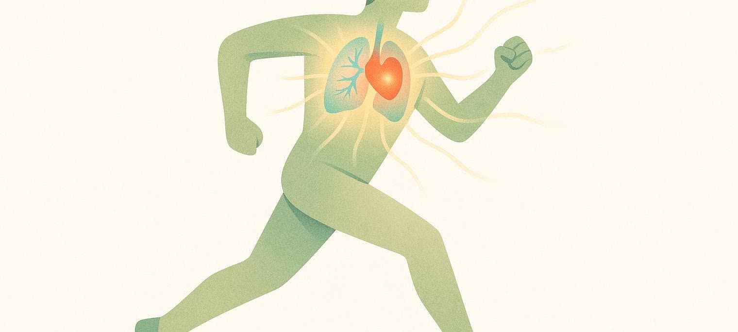 Illustration showing the internal benefits of cardio, with a glowing heart and lungs inside a running figure.