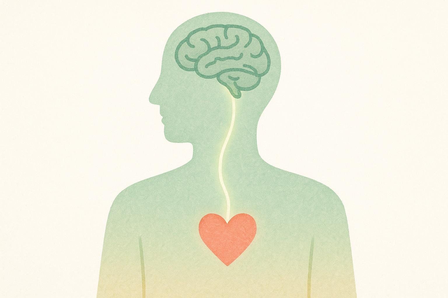An illustration of a human silhouette with a glowing line connecting the brain (outlined in green) to a red heart, symbolizing the connection between thoughts and emotions or biofeedback.