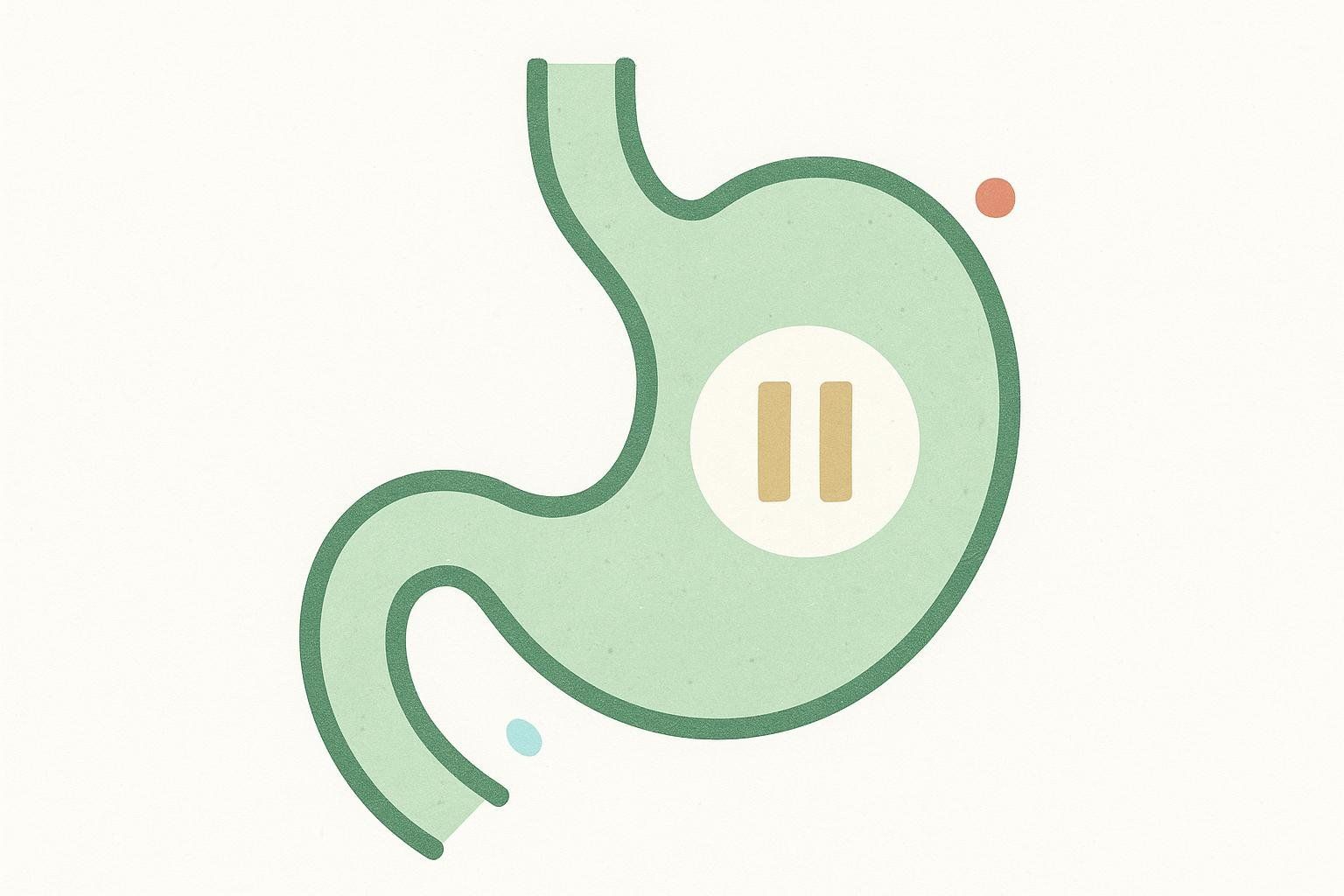 Illustration of a stomach with a pause button