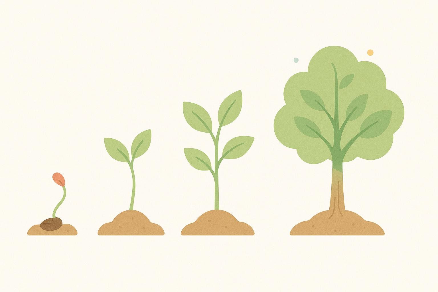 An illustration depicting four stages of plant growth, from a small sprout emerging from a seed to a fully developed tree, symbolizing progression or development.