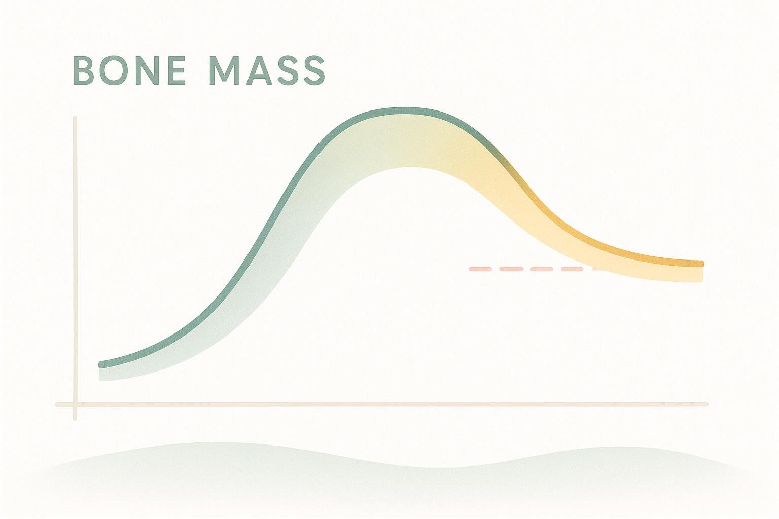 An abstract line graph showing the typical curve of bone mass increasing in early life, peaking, and then gradually declining over a lifespan. The line is shaded in shades of green and yellow.