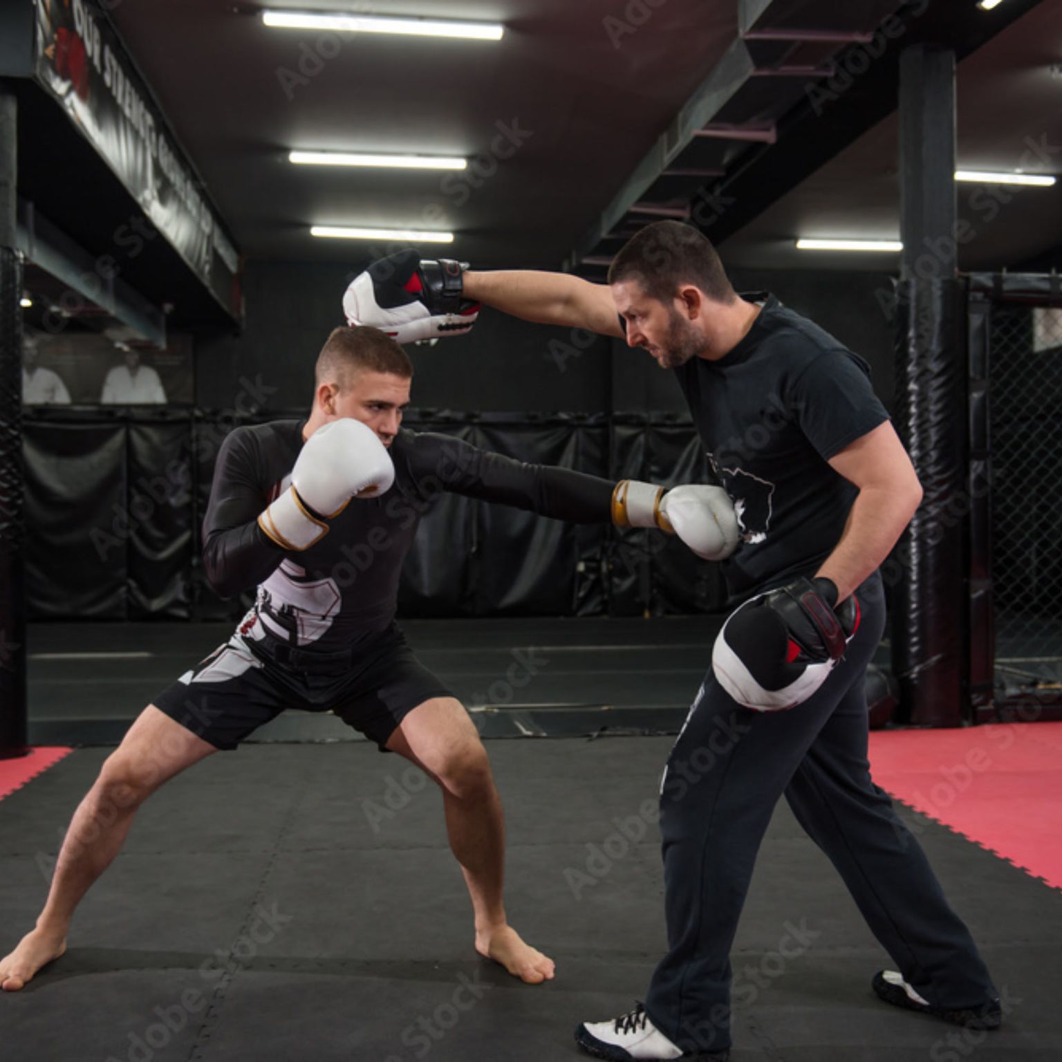 HalfImage: Boxing Trainer