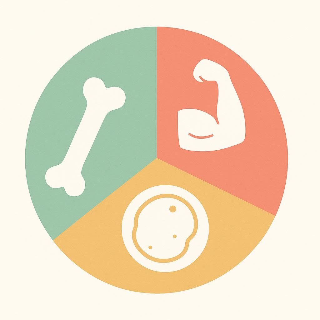 A pie chart graphic with icons for bone, muscle, and fat, representing body composition breakdown.